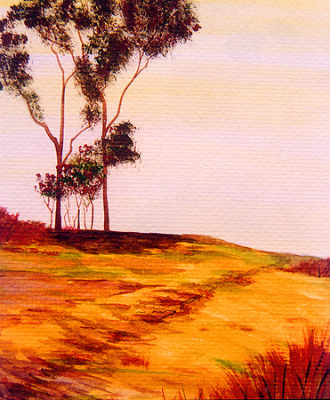 CAT 7412 CD265 WATERCOLOR