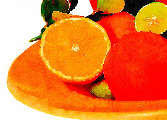 CAT 10619 CD352 LEMON AND PLUM