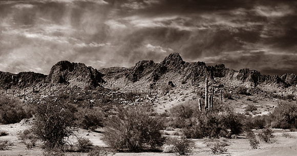 CAT 9840 CD344 NEW MEXICO BORDER BW