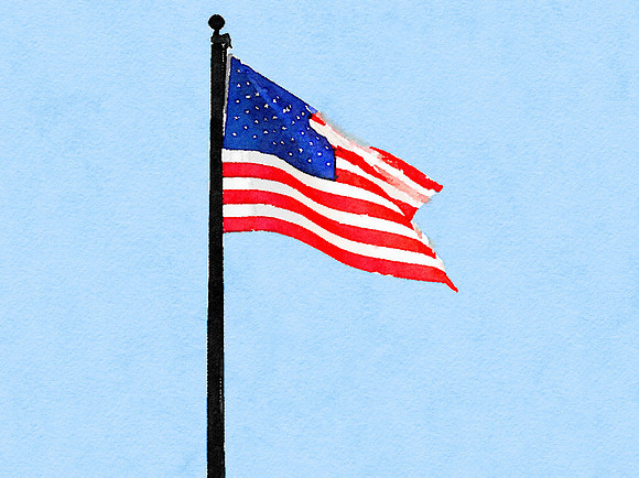 CAT 10618 CD352 AMERICAN FLAG