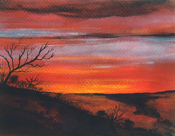 CAT 8107 CD292 BARREN TREE AT SUNSET