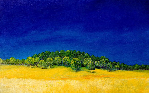 CAT 7427 CD265 OIL PAINTING