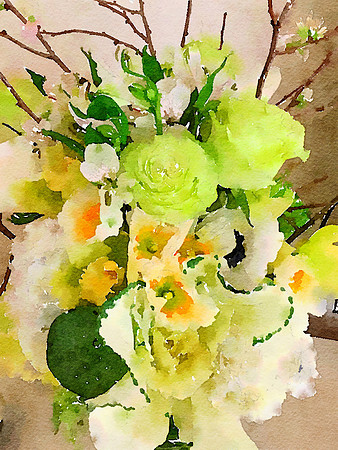 CAT 10587 CD352 BOUQUET
