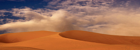 CAT 10433 CD350 SAND DUNES ALONG THE BORDER