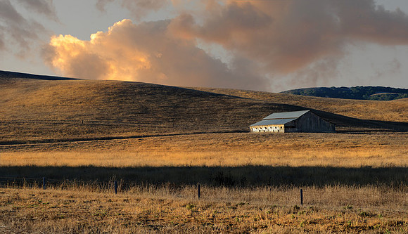 CAT 10434 CD350 SUNRISE OVER THE FIELDS 2
