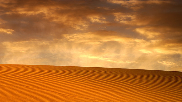 CAT 10438 CD350 IMPERIAL SAND DUNES