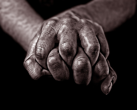 CAT 7849 CD282 HANDS
