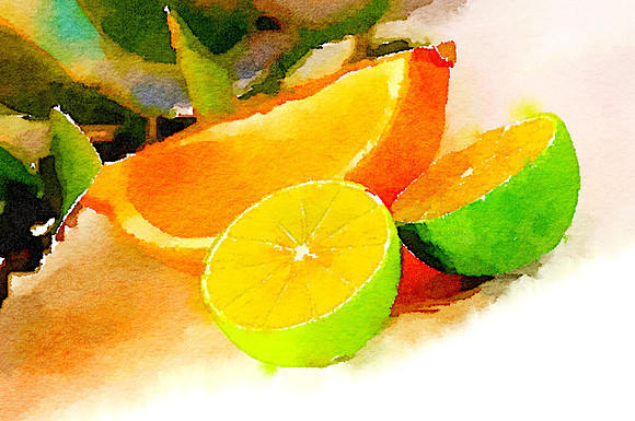 CAT 10545 CD352 LEMON AND TWO LIMES