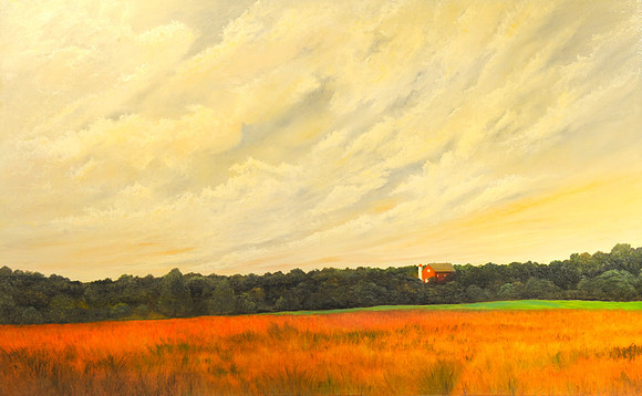 CAT 7389 CD264 OIL PAINTING
