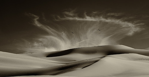 CAT 10453 CD350 SAND DUNES ALONG THE BORDER