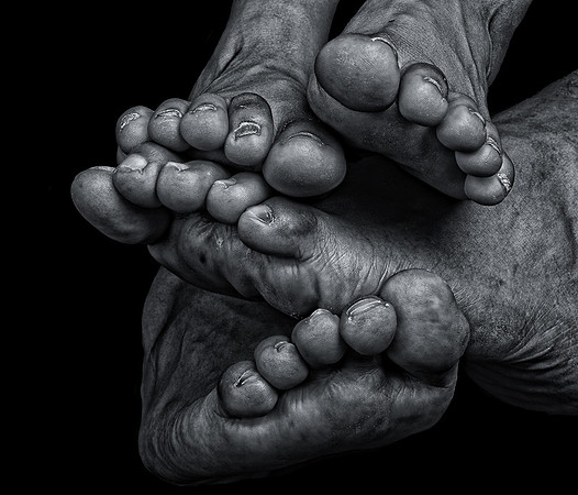 CAT 10393 CD350 TWENTY TOES