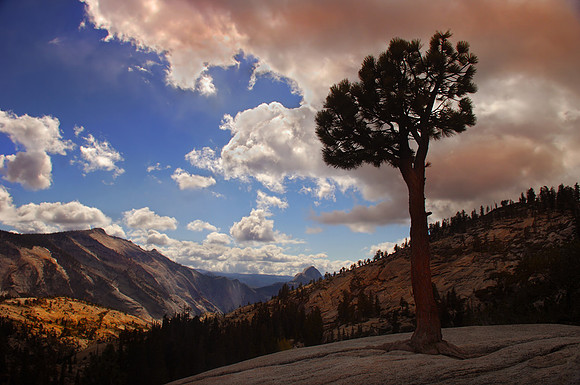 CAT 3730 CD153 LONE TREE YOSEMITE