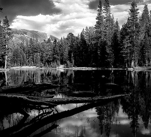 CAT 050 N6   CD16  YOSEMITE POND@326k