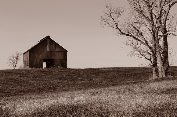 CAT 4310 CD180 LONE BARN