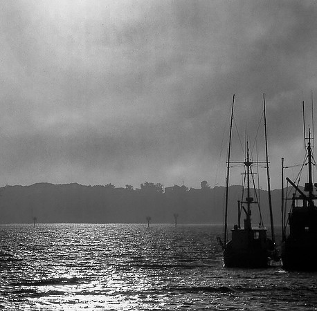 CAT 063 S CD17  BODEGA BAY  B AND W @242k