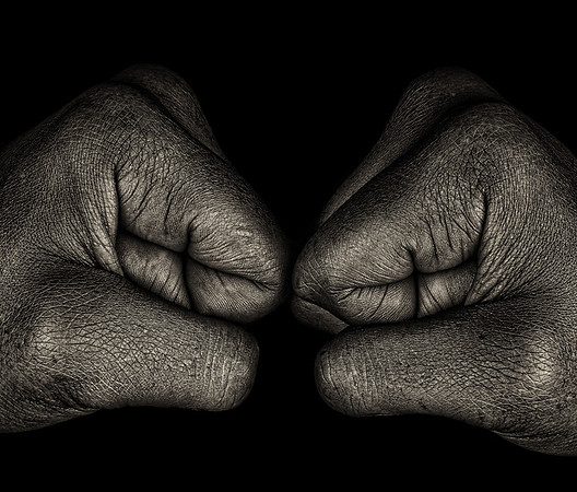 CAT 10362 CD349 FISTS