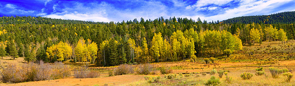 CAT 9803 CD343 ASPENS OF NEW MEXICO