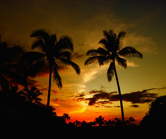 CAT 9408 CD337 HAWAII SUNSET