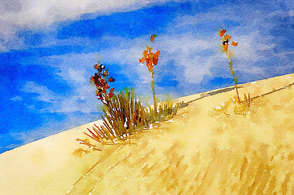 CAT 10573 CD352 WHITE SANDS 2