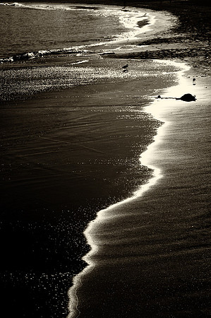 CAT 11479 CD363 CALIFORNIA COASTLINE AND REFLECTION