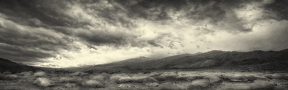 CAT 11494 CD363 BEAUTIFUL PALM SPRINGS PANO