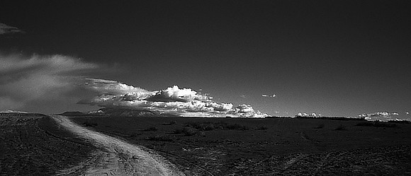 CAT 024  NEG 32    BEAUMONT ORCHARD 4  JPEG @129k