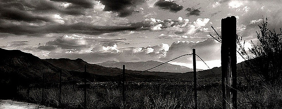 CAT 024 NEG 18 CD 10  HIGHWAY 60 ORCHARD JPEG @167k