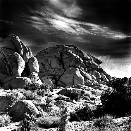 CAT 025 NEG 8  CD 4   WONDERLAND ROCKS, JOSHUA TREE  JPEG @141k