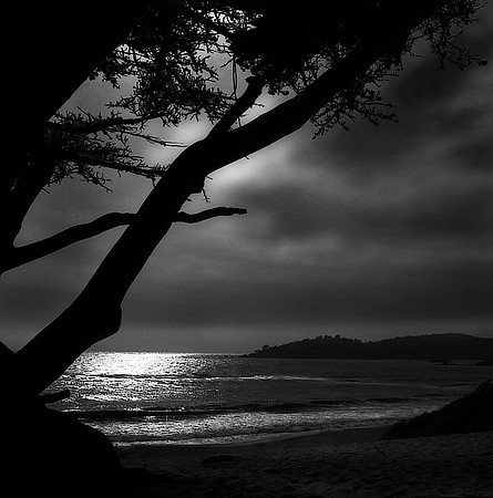 CAT 054 N12 CD20 CARMEL BEACH @233k