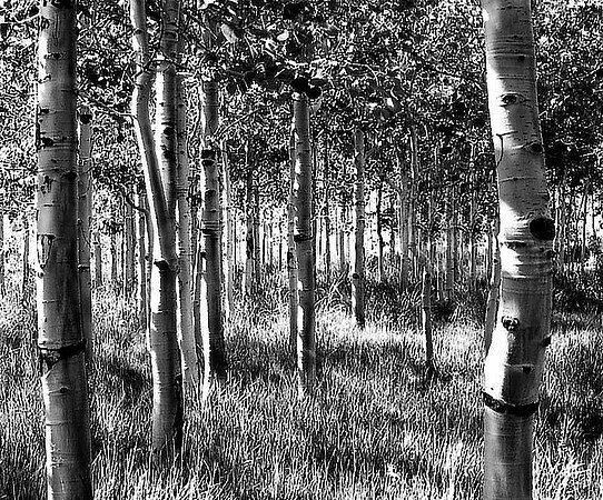 CAT 064 S  CD17 ASPEN GROVE @188k