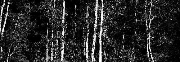 CAT 066 N17  cd23   ASPENS JPG 186K