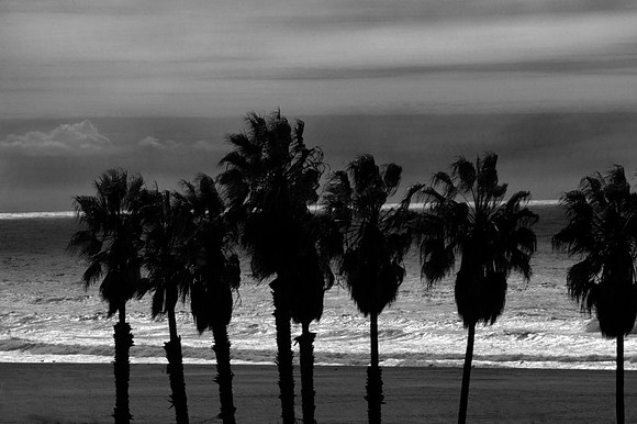 CAT 1686 D CD63  SANTA MONICA BEACH 1 jpeg 181k