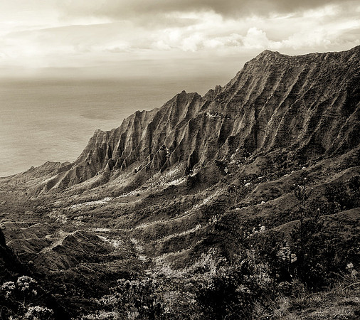 CAT 8872 CD319 NAPALI COAST