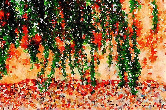 CAT 10609 CD352 ROSEMARY CASCADE