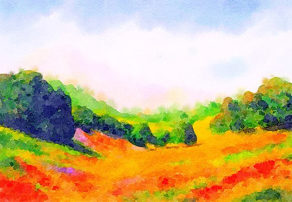 CAT 10608 CD352  COUNTRYSIDE
