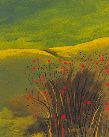 CAT 7423 CD265 WATERCOLOR