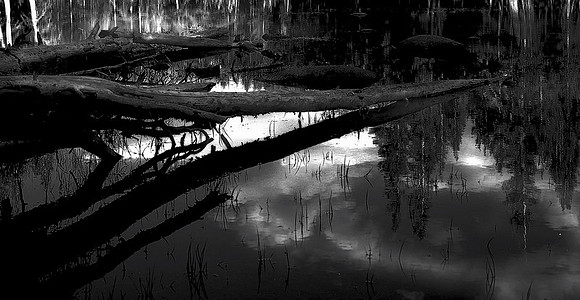 CAT 2257 D CD84  YOSEMITE POND 2