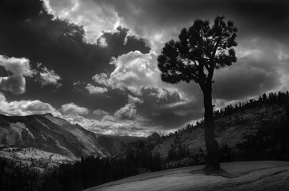 CAT 3826 CD158 LONE TREE YOSEMITE BW