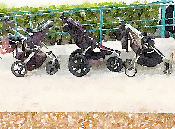 CAT 10577 CD352 BABY CARRIAGES
