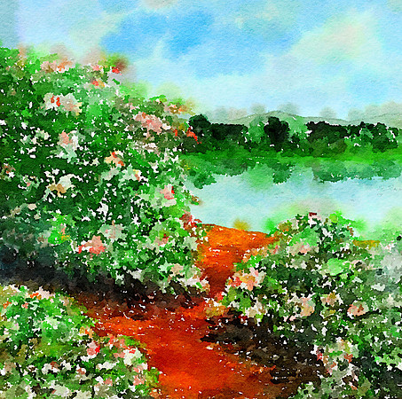 CAT 10562 CD352 ROSE BUSHES BY THE LAKE