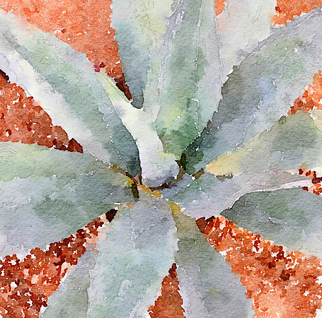 CAT 10605 CD352 ALOE VERA