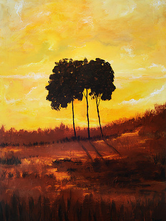CAT 9651 CD340 SUNRISE OVER THE POND