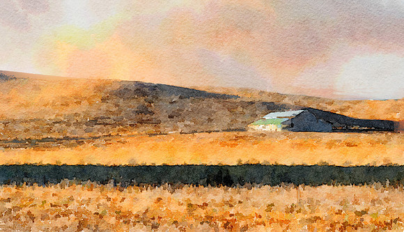 CAT 10565 CD352 BARN IN THE COUNTRY