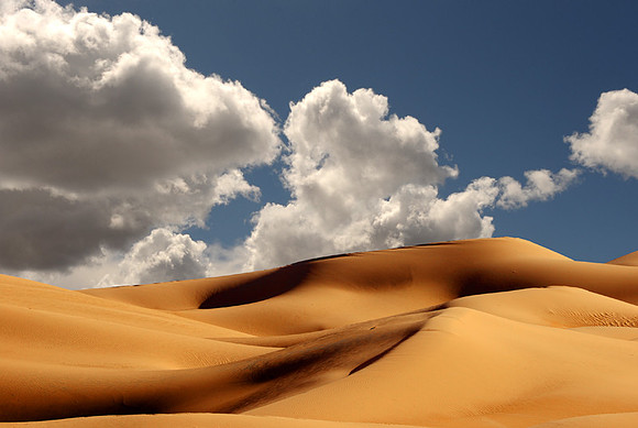 CAT 9829 CD343 IMPERIAL SAND DUNES