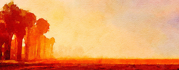 CAT 10594 CD352 MORNING MIST