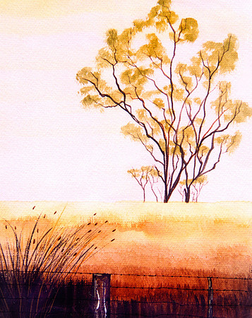 CAT 7401 CD264 WATERCOLOR