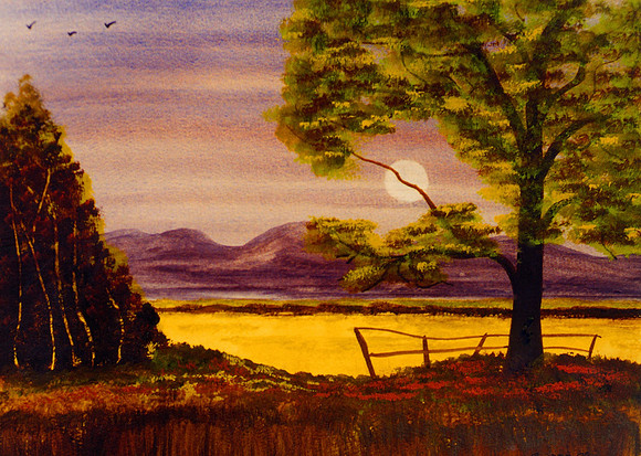 CAT 7540 CD269 WATERCOLOR
