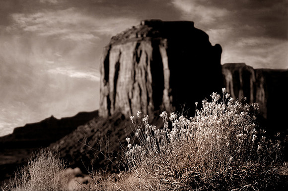 CAT 8303 CD300  MONUMENT VALLEY