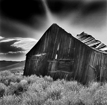 CAT 2595 D CD96  HOUSE, BODIE
