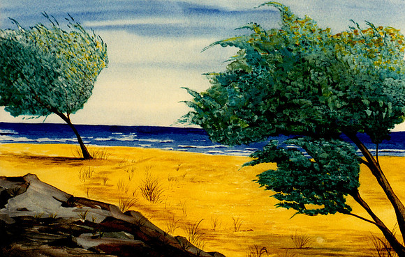 CAT 8126 CD293 COASTLINE